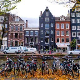 Reds and blues and oranges